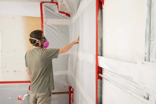 Best Mold Damage Restoration  in Blountstown, FL