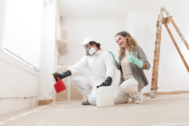 Best Attic Mold Removal  in Blountstown, FL